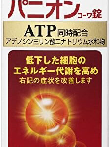 【第2類医薬品】パニオンコーワ錠 90錠